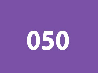 050.jpg