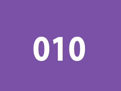 010.jpg